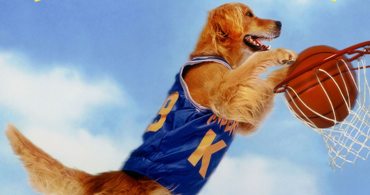 Air Bud Director Admits He's Not a Huge Dog Lover