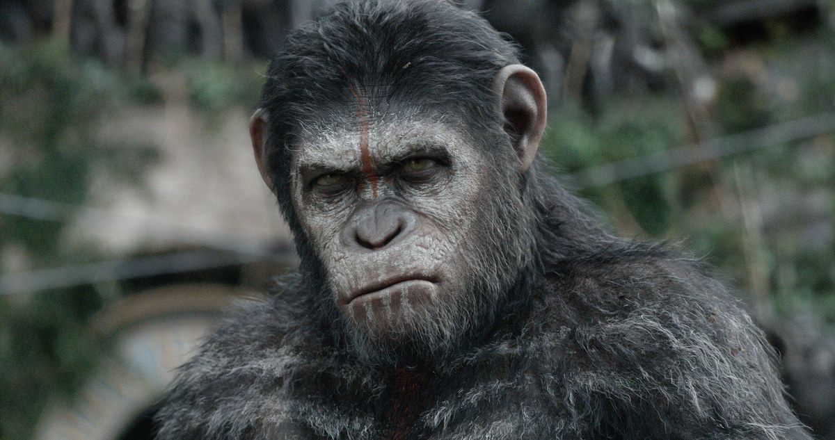 Dawn of the Planet of the Apes Sequel Will Not Leap Forward in Time