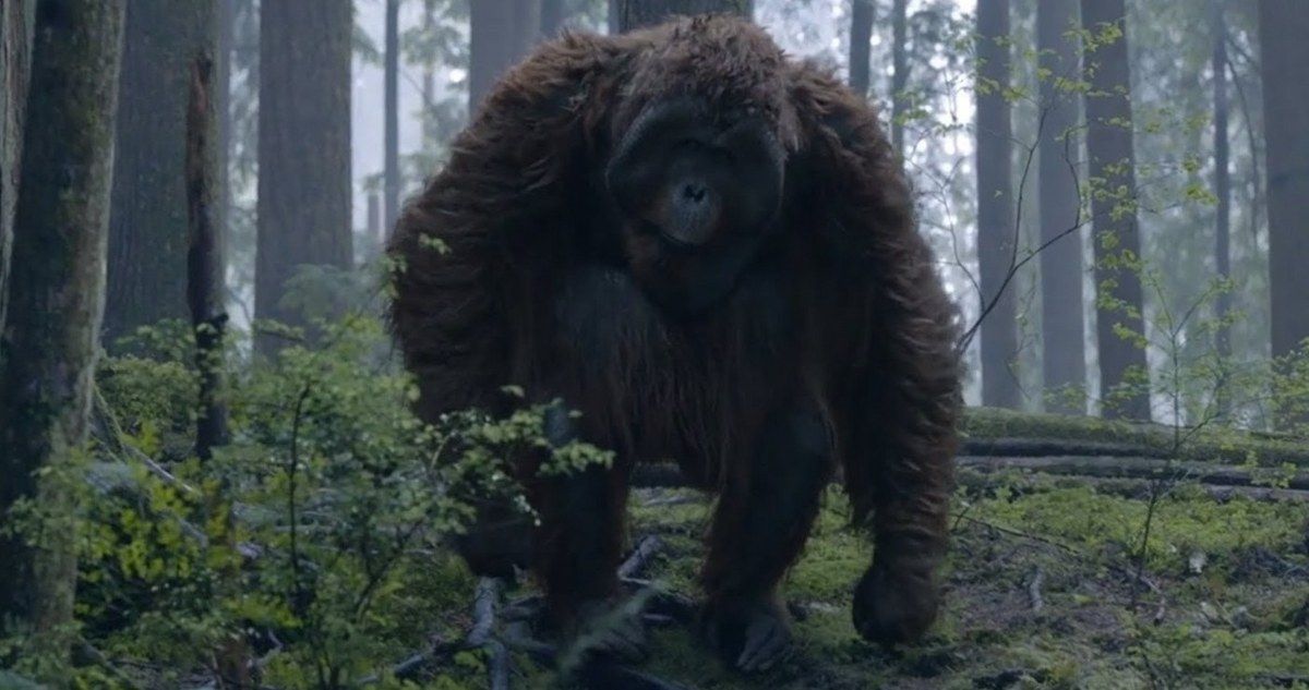 Dawn of the Planet of the Apes TV Spot Threatens to Kill All Apes!