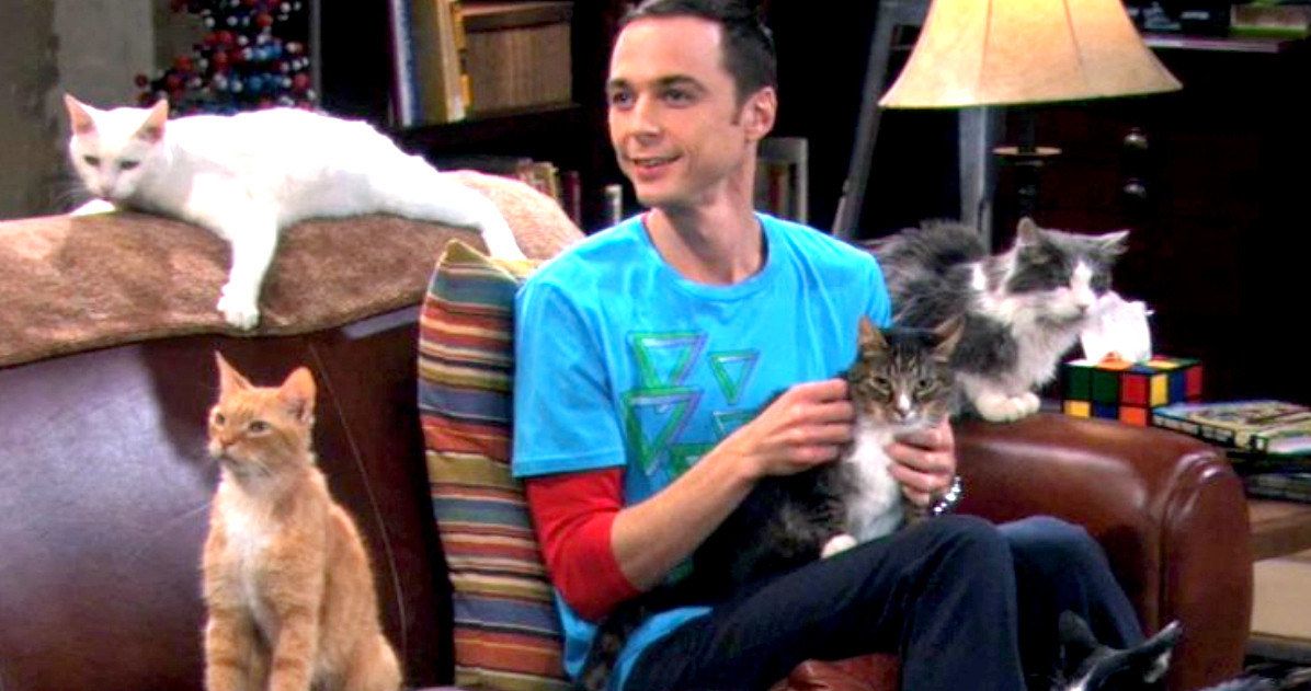 Big Bang Theory Sued Over Soft Kitty Song