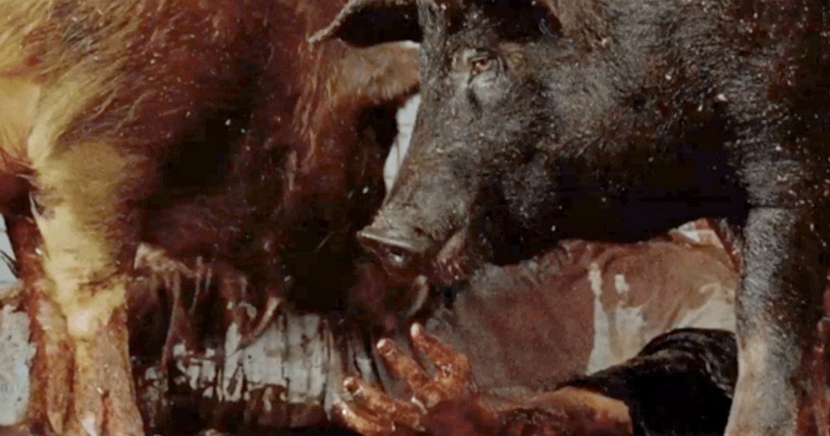Man-Eating Pigs Attack in New Walking Dead Season 7 Trailer