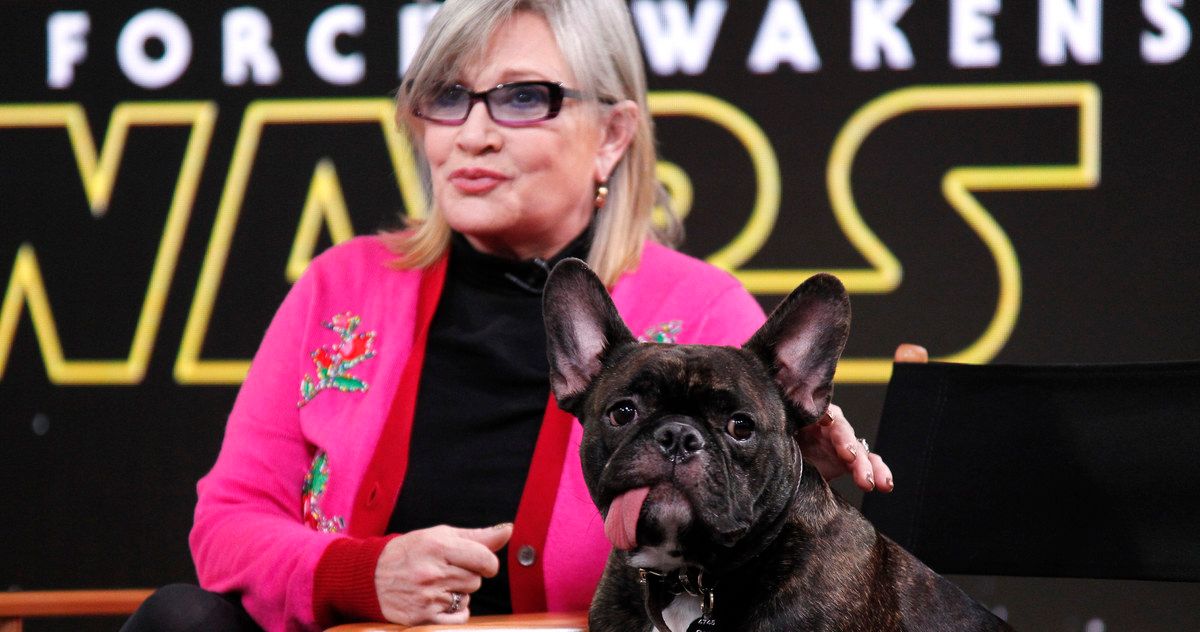 Carrie Fisher's Dog Gary Has Found a New Home