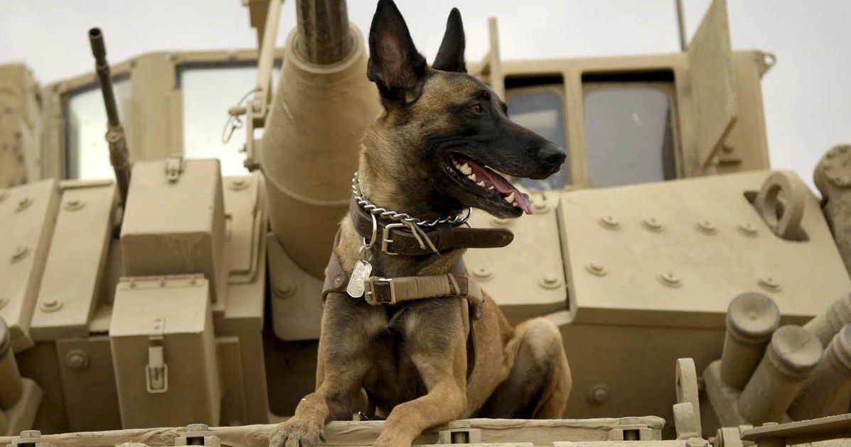 Max Trailer: The American Sniper of Dog Movies
