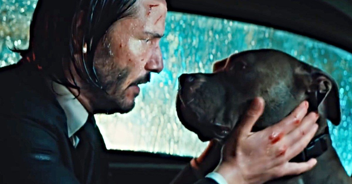 John Wick 4 Director Says Sequel's New Dog Has A Big Role To Play In