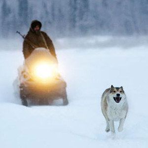 Werner Herzog's Happy People: The Year in The Taiga Trailer