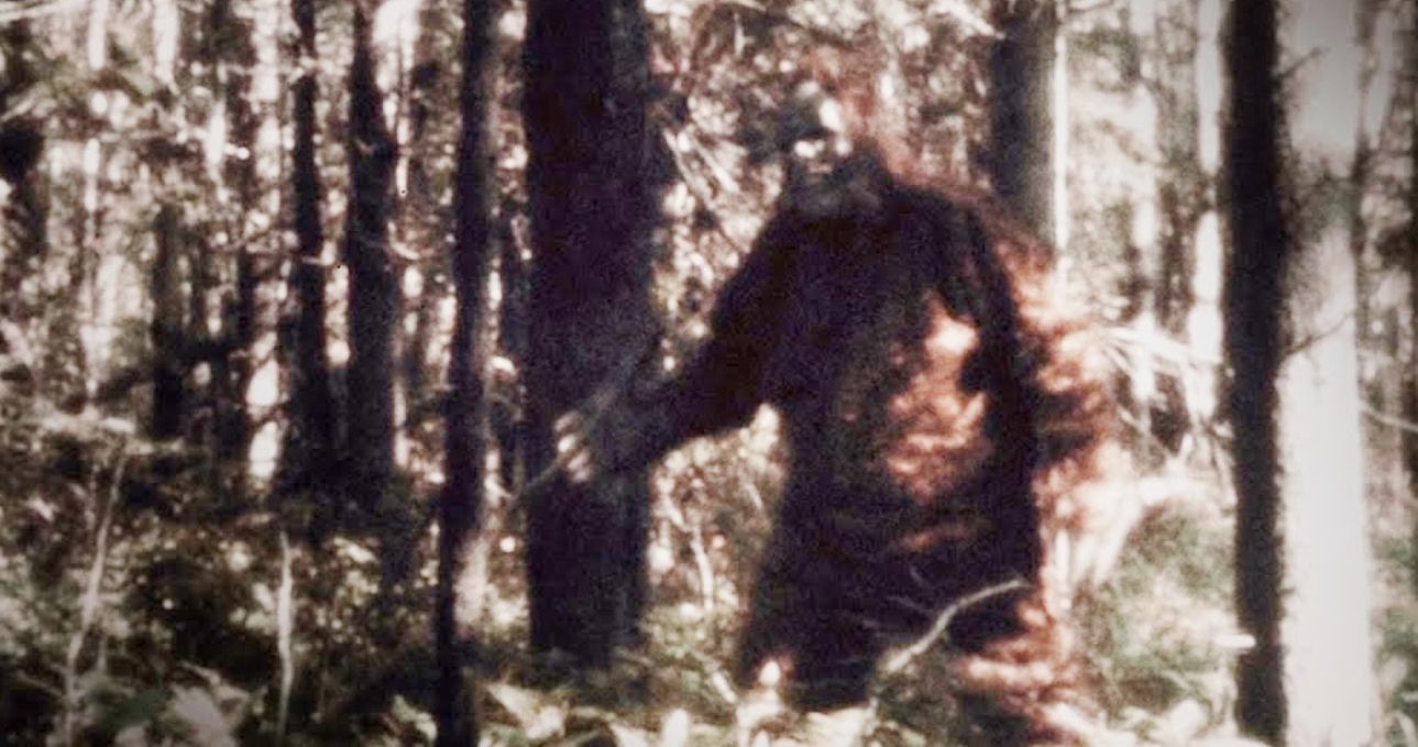 Sasquatch Docuseries Trailer Brings Murder, Mystery and Bigfoot to Hulu This Spring
