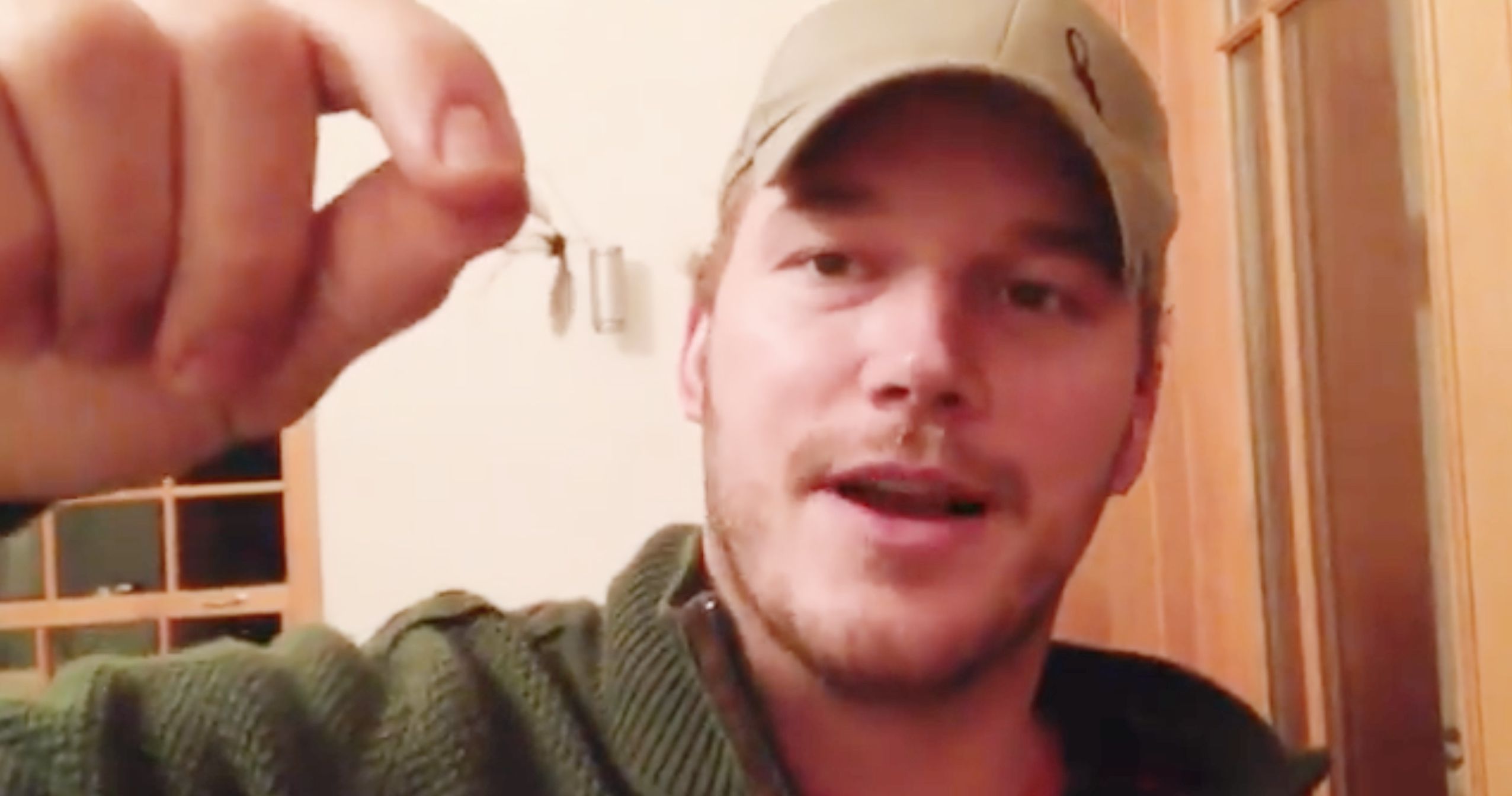 James Gunn Celebrates Chris Pratt's Birthday with a Tasty Bug-Eating Video