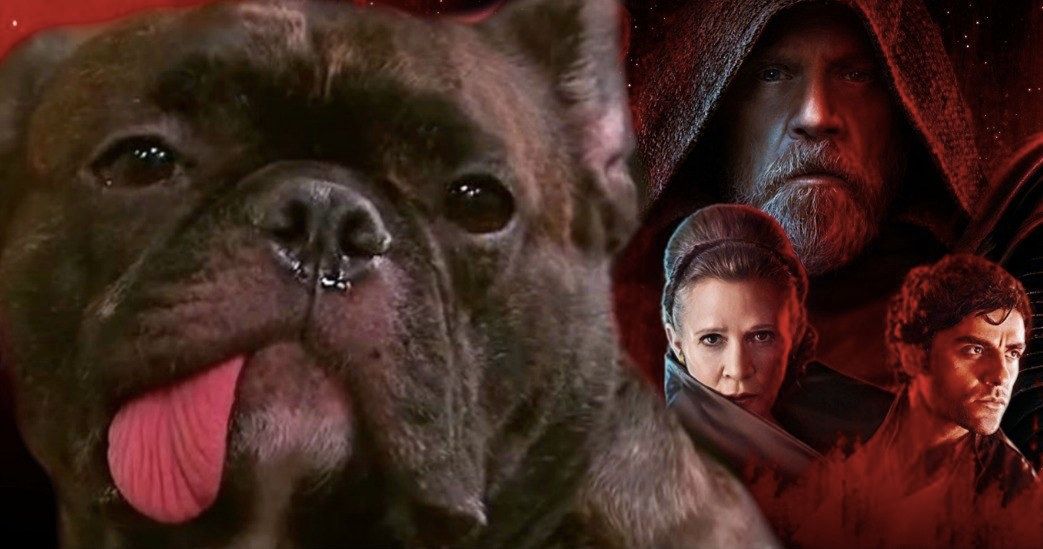 Carrie Fisher's Dog Watching Star Wars 8 Trailer Will Break Your Heart