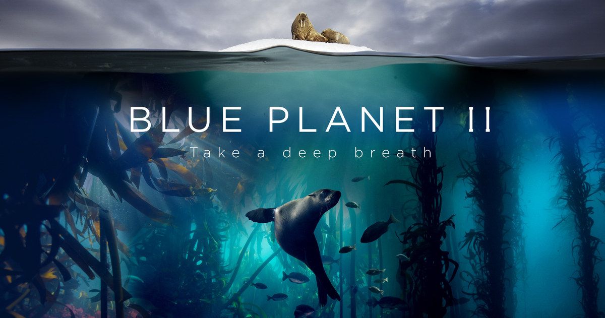 Radiohead and Hans Zimmer Team Up for Blue Planet 2