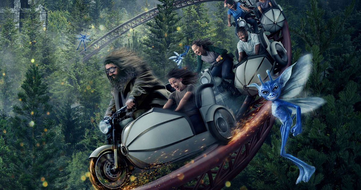 Harry Potter Fans Wait in 10 Hour Line for New Hagrid Ride at Universal Studios