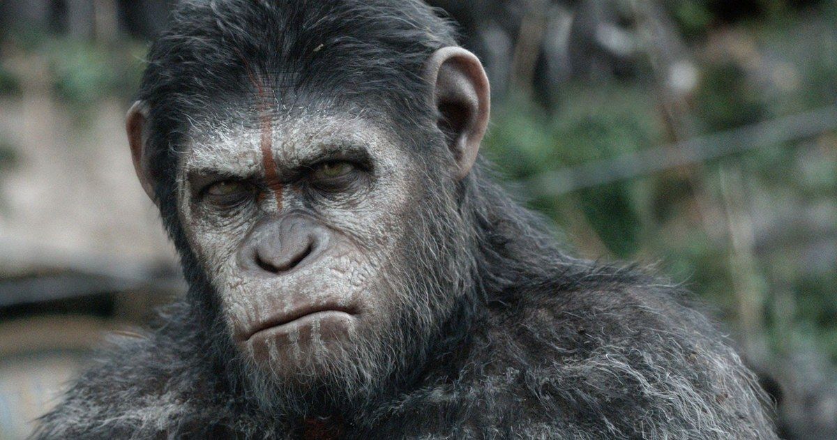 Dawn of the Planet of the Apes Early Reviews - Best Movie of Summer?
