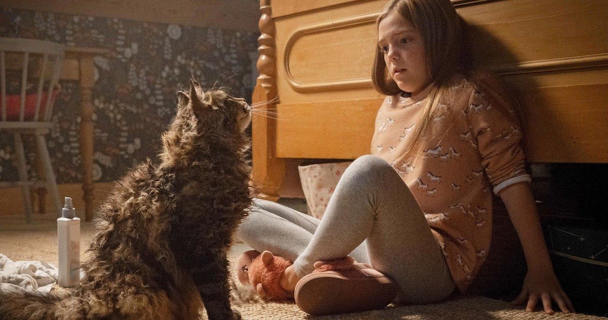What Does Stephen King Think of Those Big Changes in the Pet Sematary Remake?
