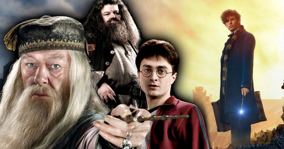 Fantastic Beasts 5 Timeline Reveals Huge Harry Potter Connection