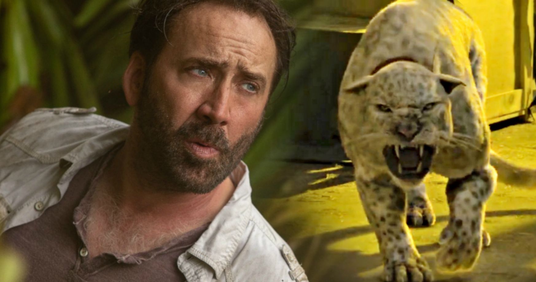 nick cage as animals