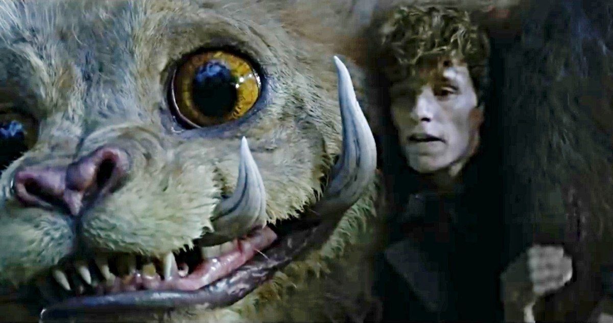 Newt's New Menagerie of Creatures Go Uncaged in Fantastic Beasts 2 Preview