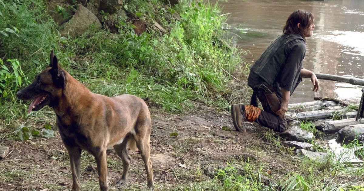 Walking Dead Fans Petition to Keep Daryl's Dog Alive