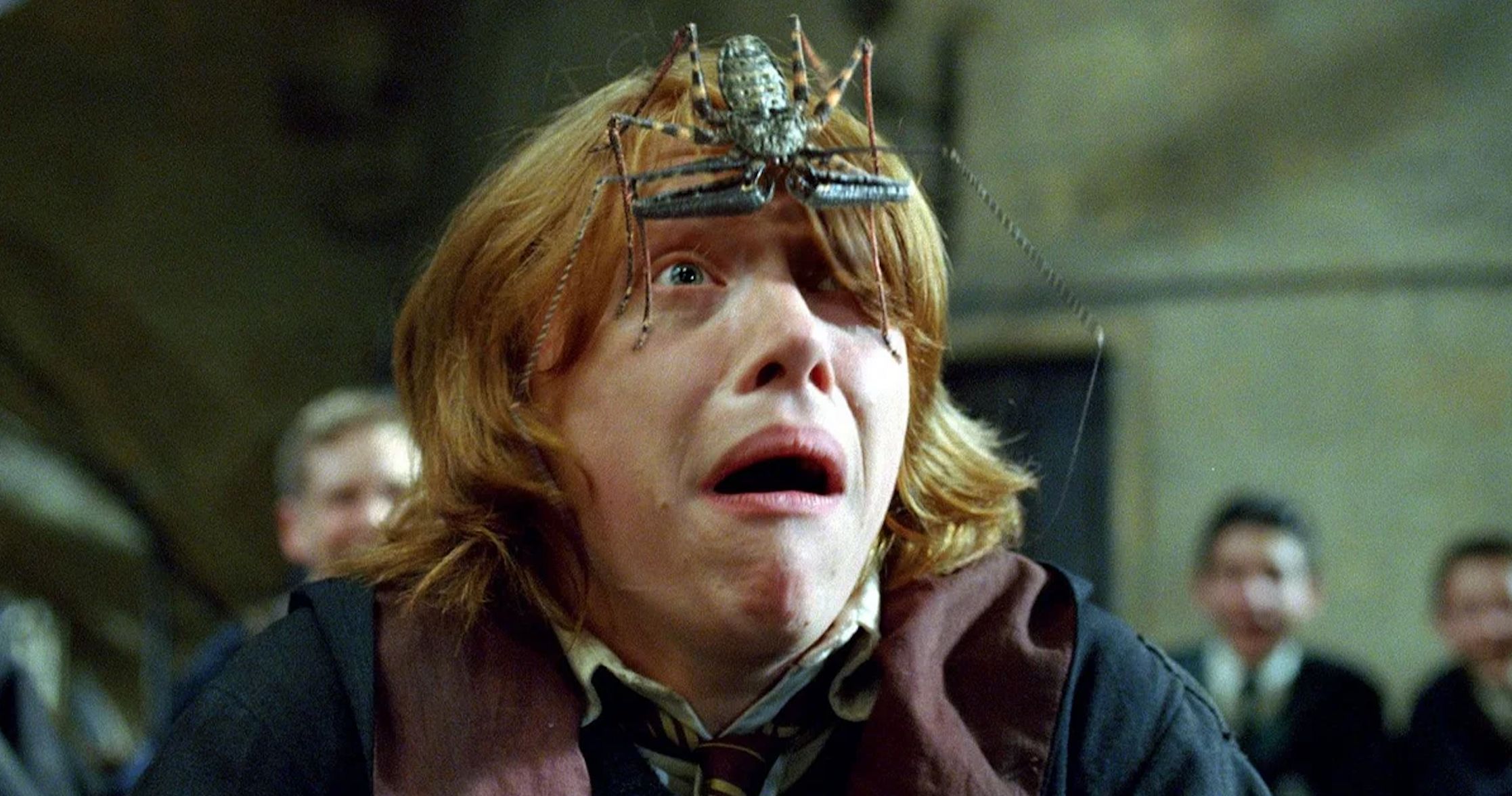 Filming Harry Potter Was a Suffocating Experience Says Star Rupert Grint