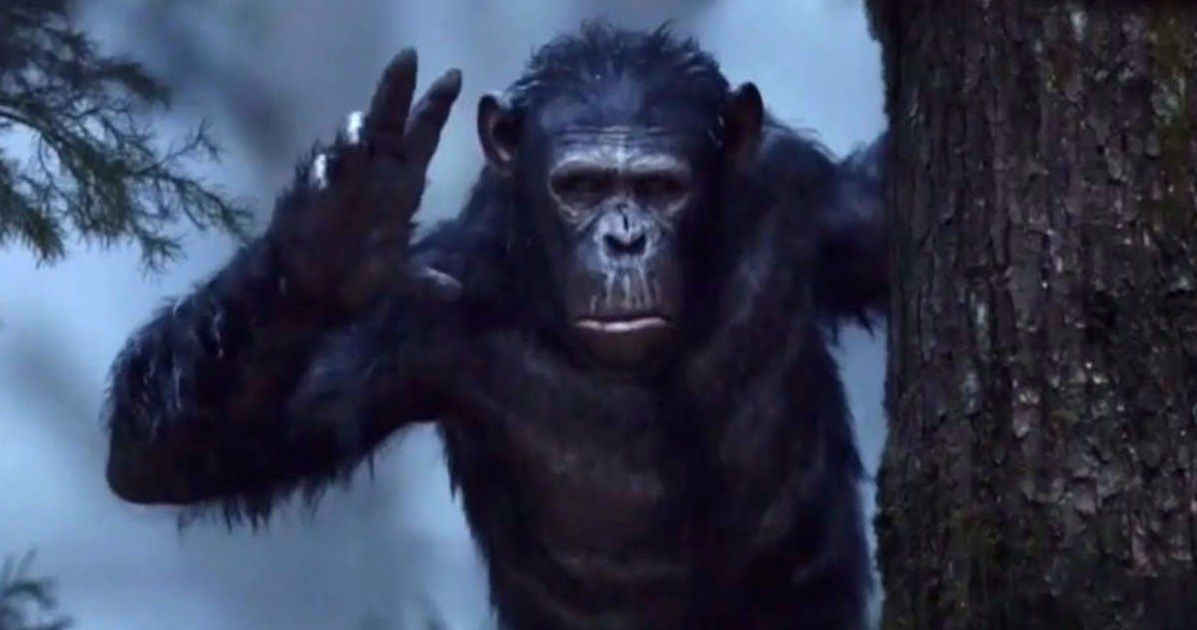Caesar's Army Attacks in Dawn of the Planet of the Apes TV Spot
