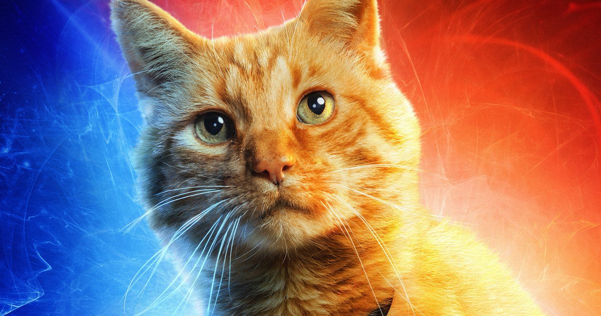 Captain Marvel First Screening Reactions Claim Goose the Cat Steals the Show