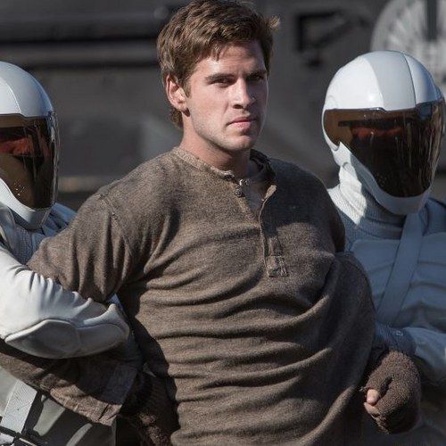 The Hunger Games: Catching Fire Photo with Liam Hemsworth as Gale Hawthorne