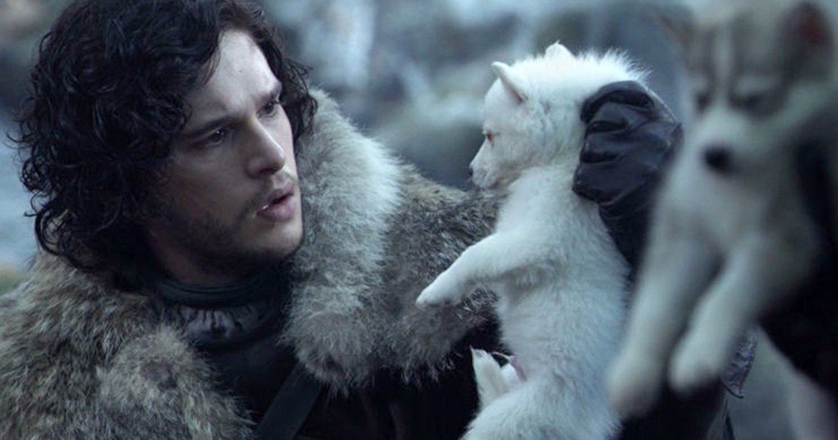 Game of Thrones Star Peter Dinklage Warns Fans to Stop Buying Huskies