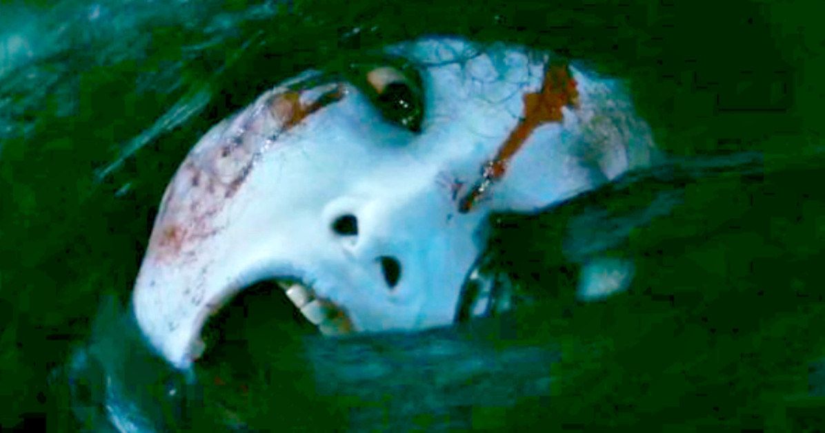 The Ring &amp; Grudge Ghosts Fight in New Sadako Vs Kayako Trailer