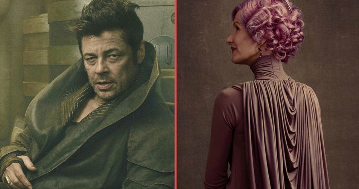 Benicio Del Toro and Laura Dern's Star Wars 8 Characters Revealed