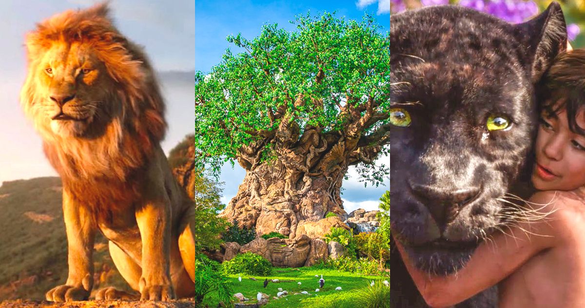 Disneyworld Vacation in Animal Kingdom - What to Watch Before You Go