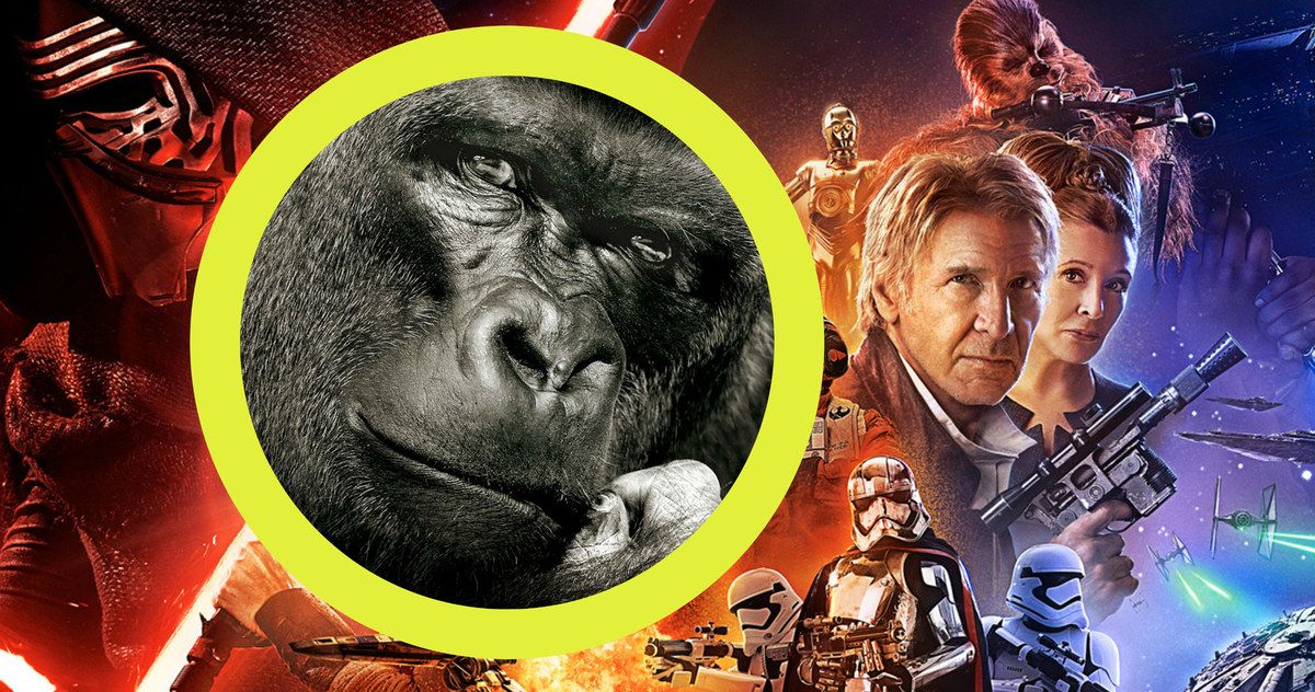 Watch Koko The Gorilla Review Star Wars: The Force Awakens
