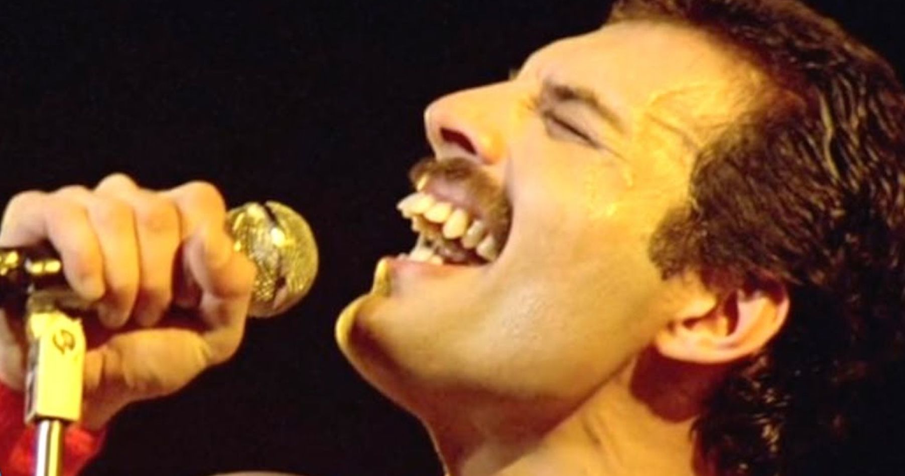 Freddie Mercury Honored by Fans on What Would've Been His 75th Birthday