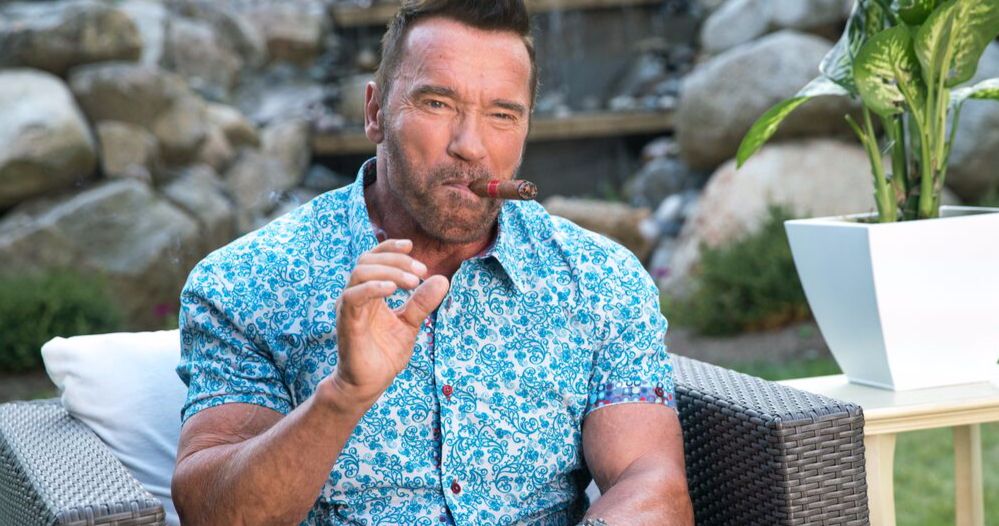 Arnold Schwarzenegger Is Taking on in His First Scripted TV Show