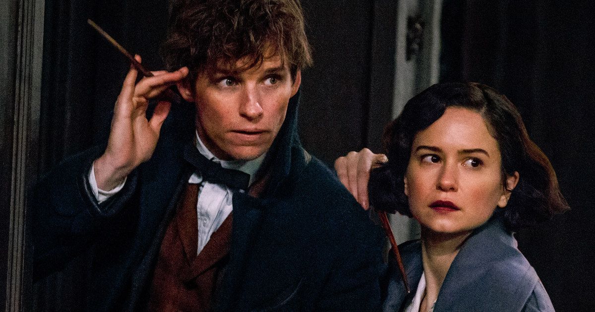 Fantastic Beasts Blasts Past $800M at the Worldwide Box Office