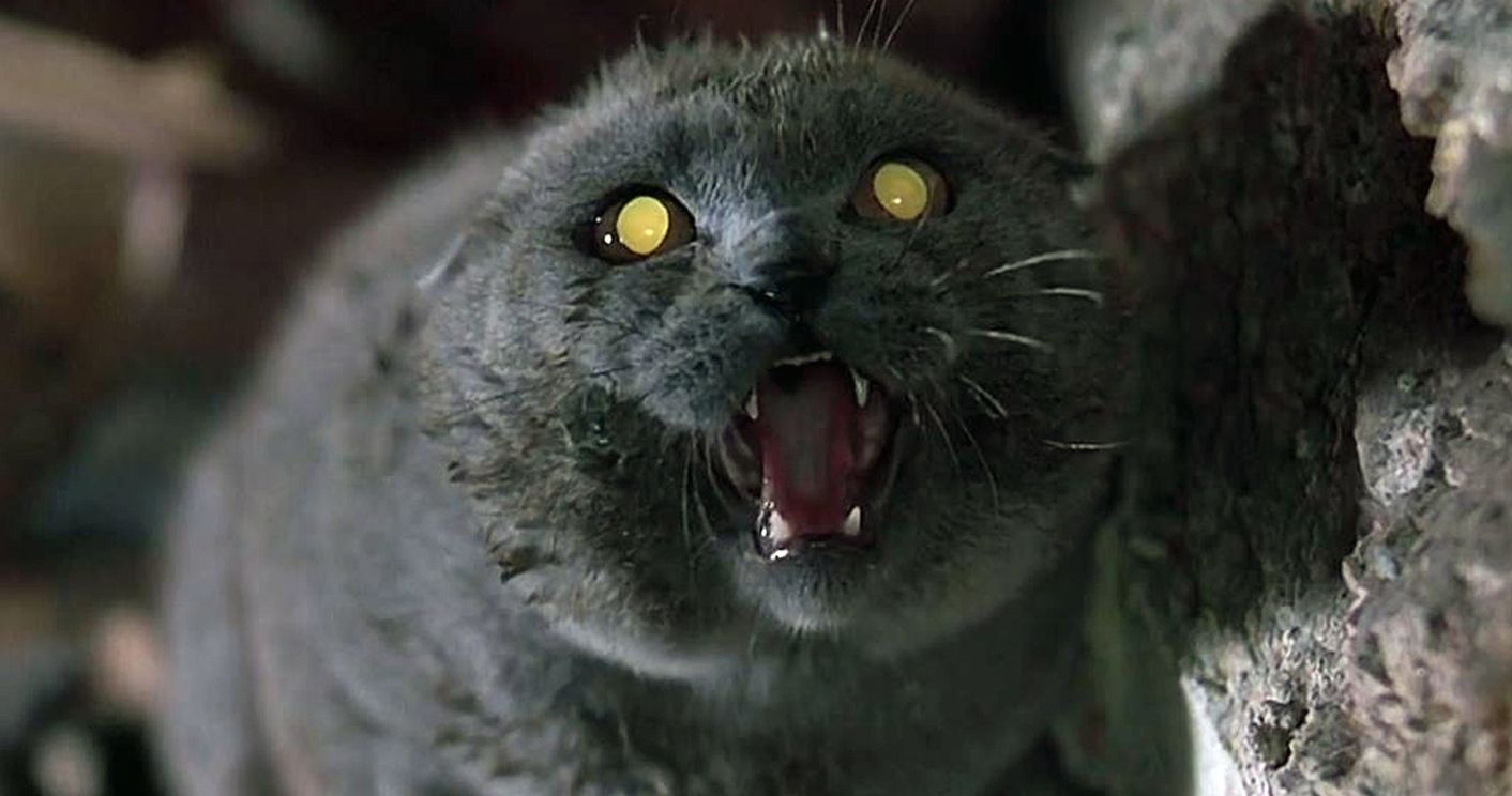 Watch Pet Sematary on the Actual Soured Ground It Was Filmed on in Maine This September
