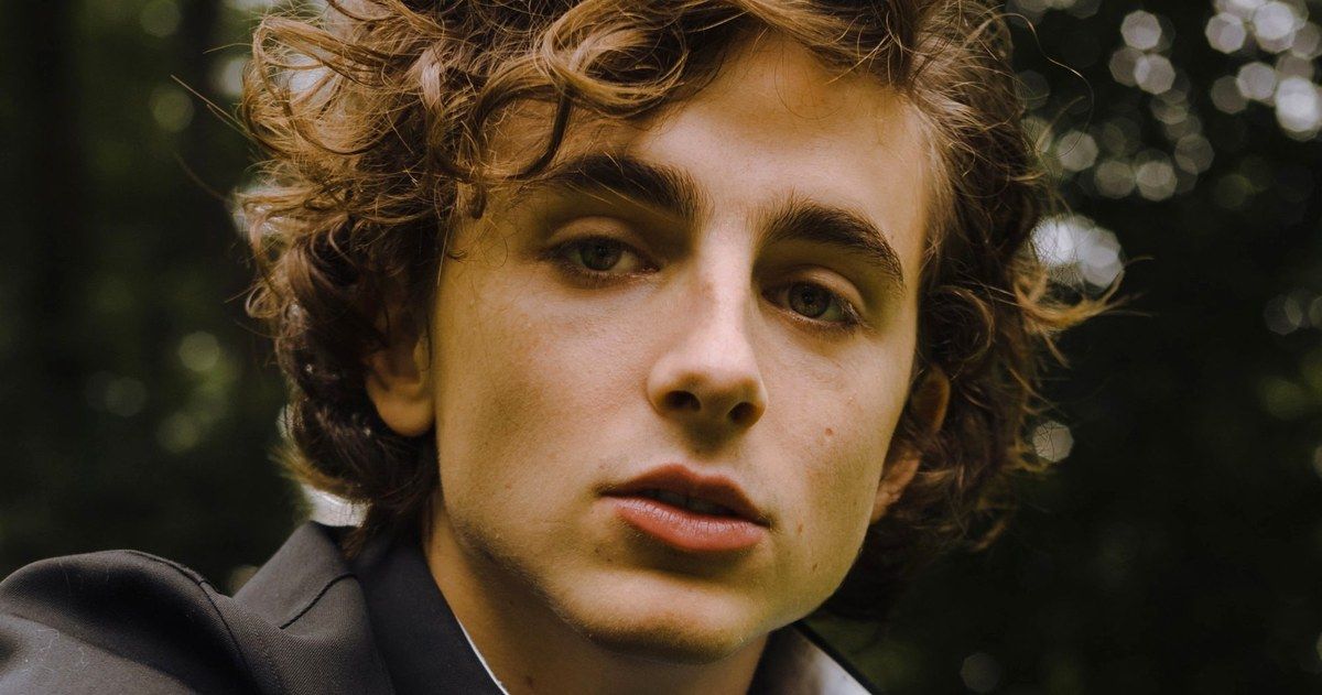 Timothee Chalamet Donates Paycheck from Woody Allen Movie to #TimesUp, RAINN