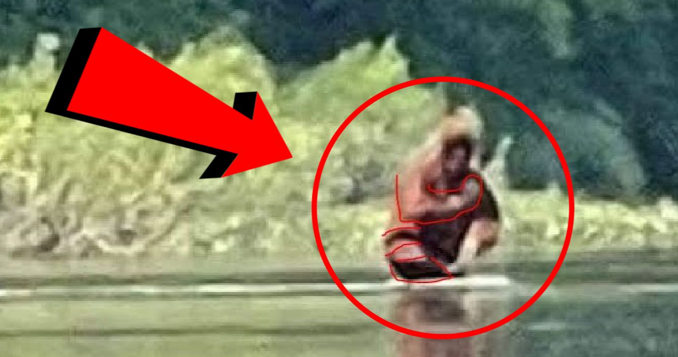 Michigan Bigfoot Sighting Sparks Debate Over What's Really in the Video