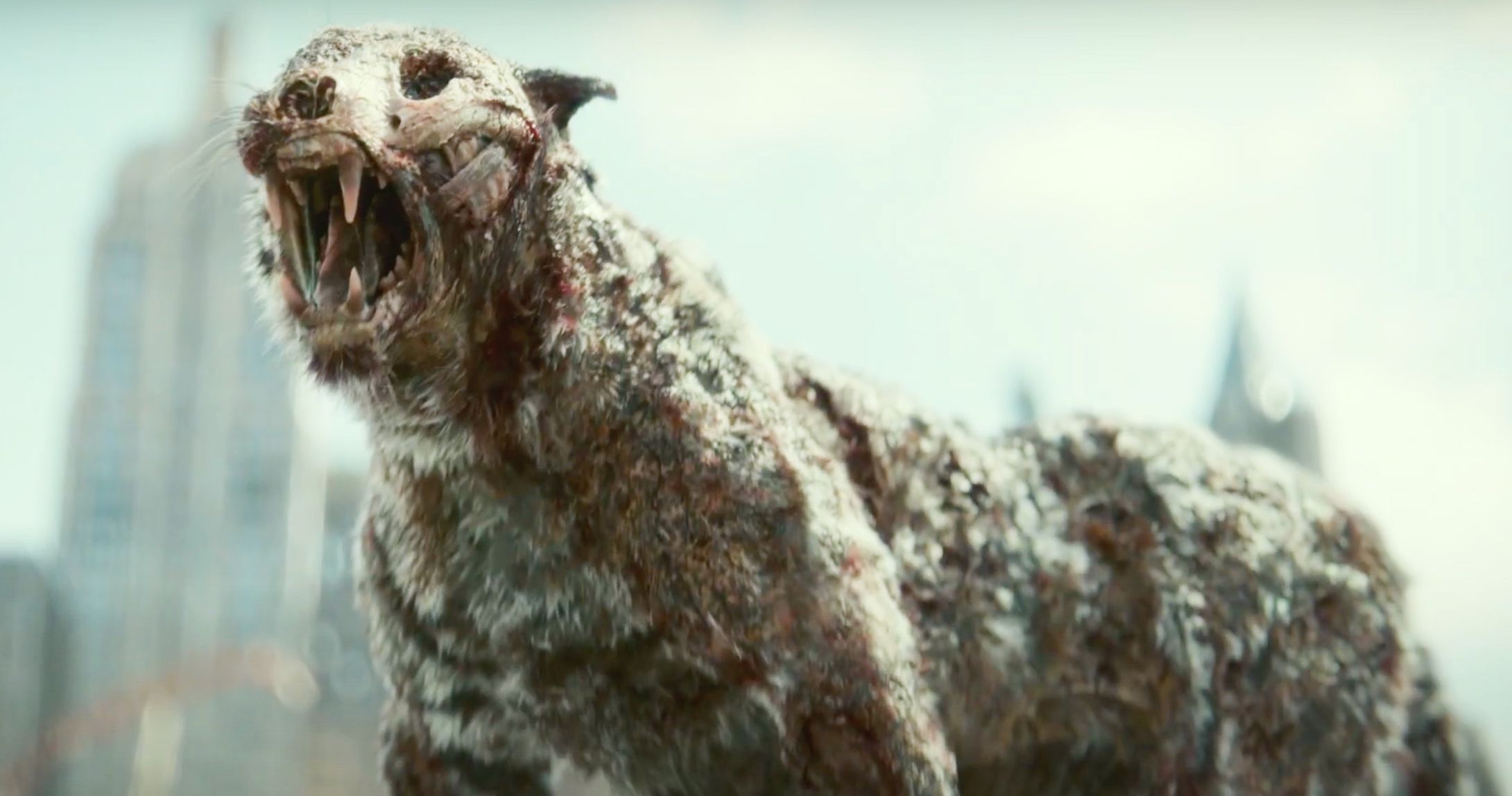 Valentine the Zombie Tiger Has Fans Super Excited for Netflix's Army of the Dead