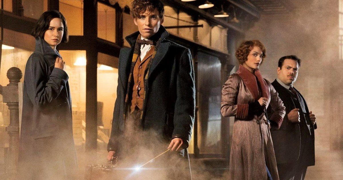 Fantastic Beasts Introduces a New Magical Power to the Harry Potter Universe