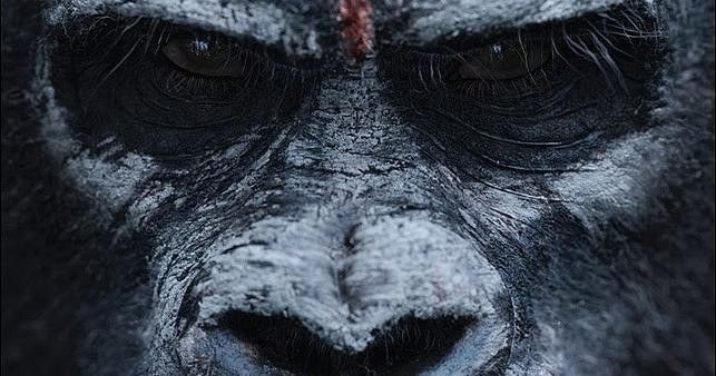 Dawn of the Planet of the Apes Trailer Preview!
