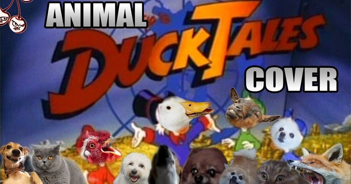 Watch Real Animals Perform the DuckTales Theme Song