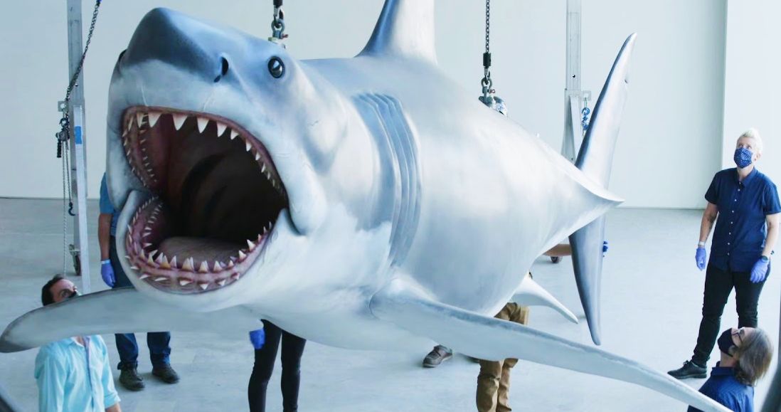 Bruce Lives: Jaws Shark Goes on Display at Academy Museum of Motion Pictures