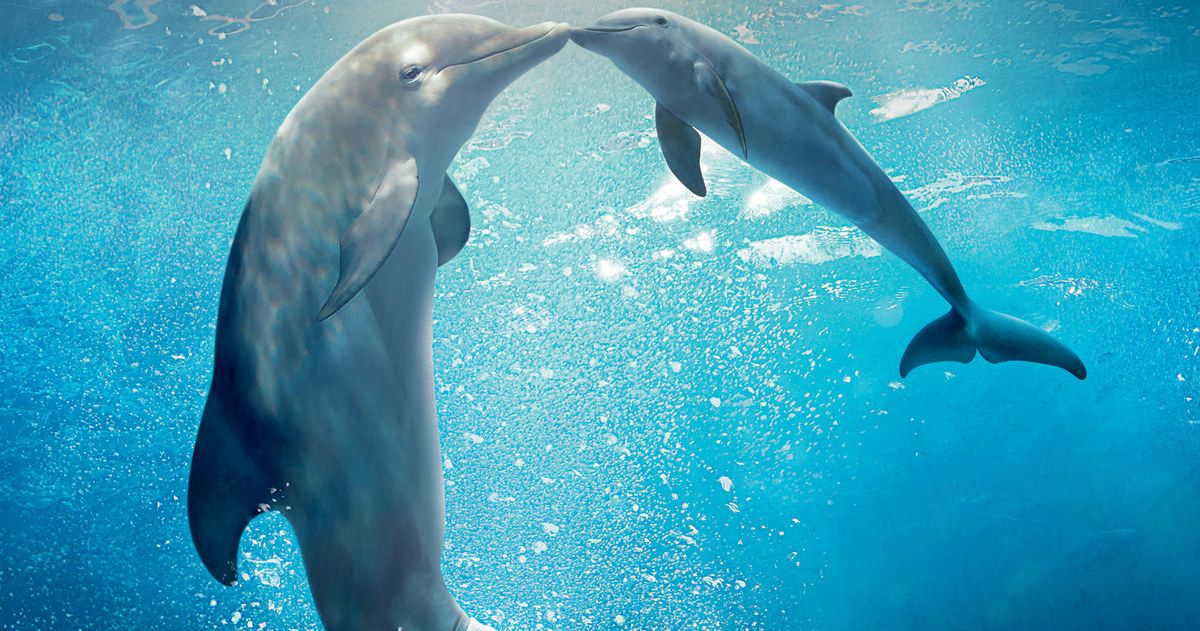 BOX OFFICE PREDICTIONS: Can Dolphin Tale 2 Beat Guardians of the Galaxy?