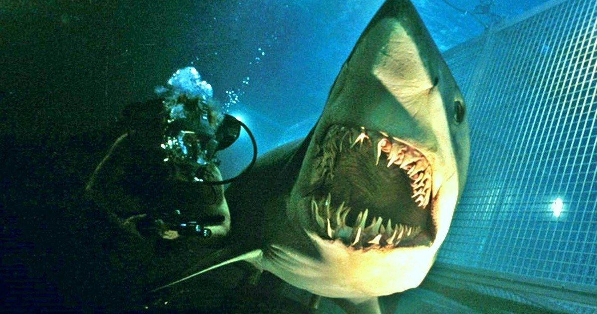 Smart Sharks Attack in Deep Blue Sea 2 Preview