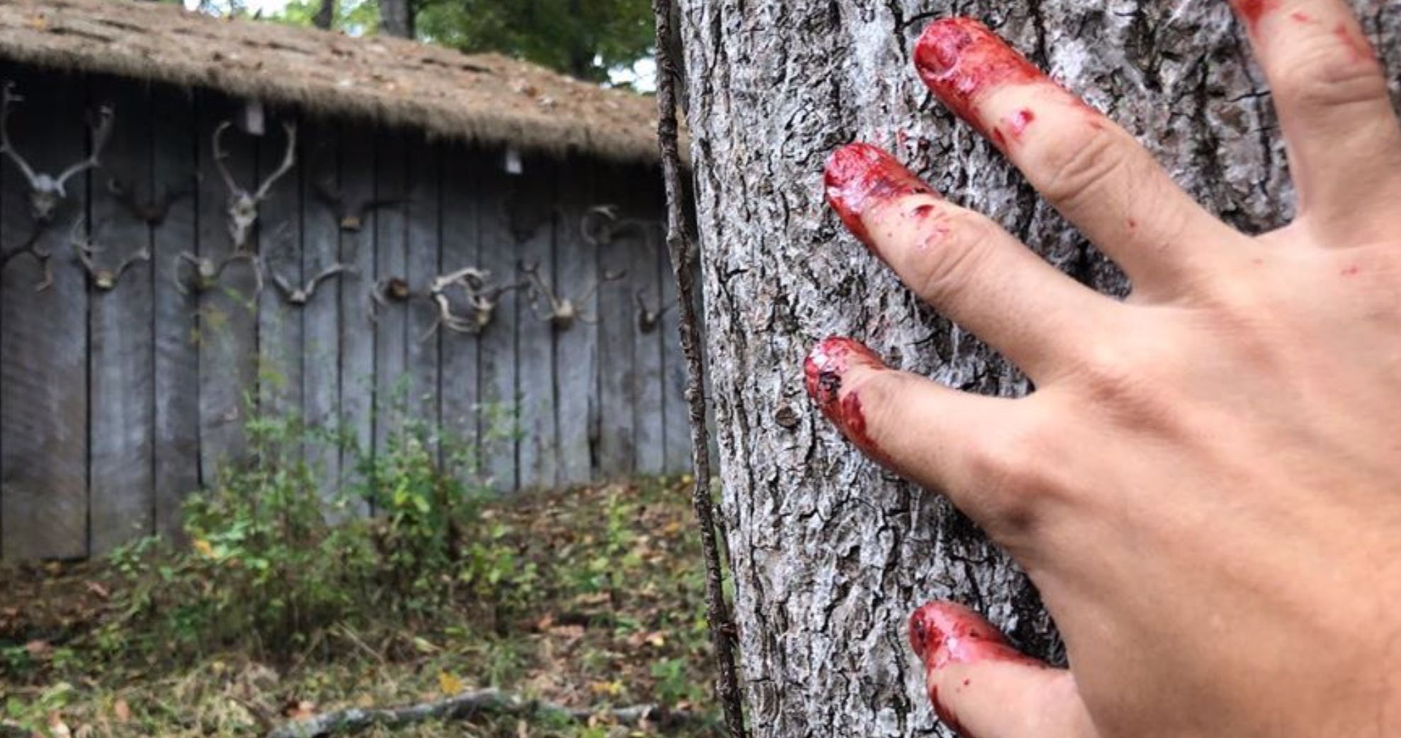 Wrong Turn Reboot Wraps, Director Shares Blood-Caked Final Set Image