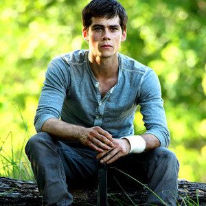 Maze runner cast in 2023  Maze runner cast, Maze runner, Maze runner  imagines