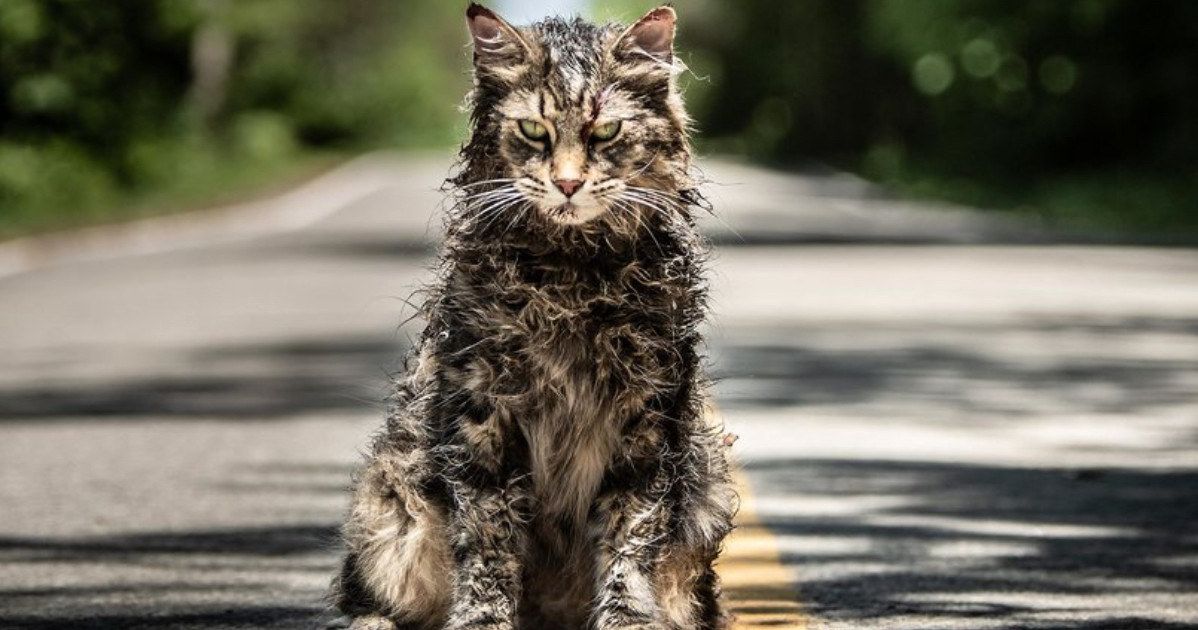 First Pet Sematary Photos Bring Frightening Look at Stephen King Remake