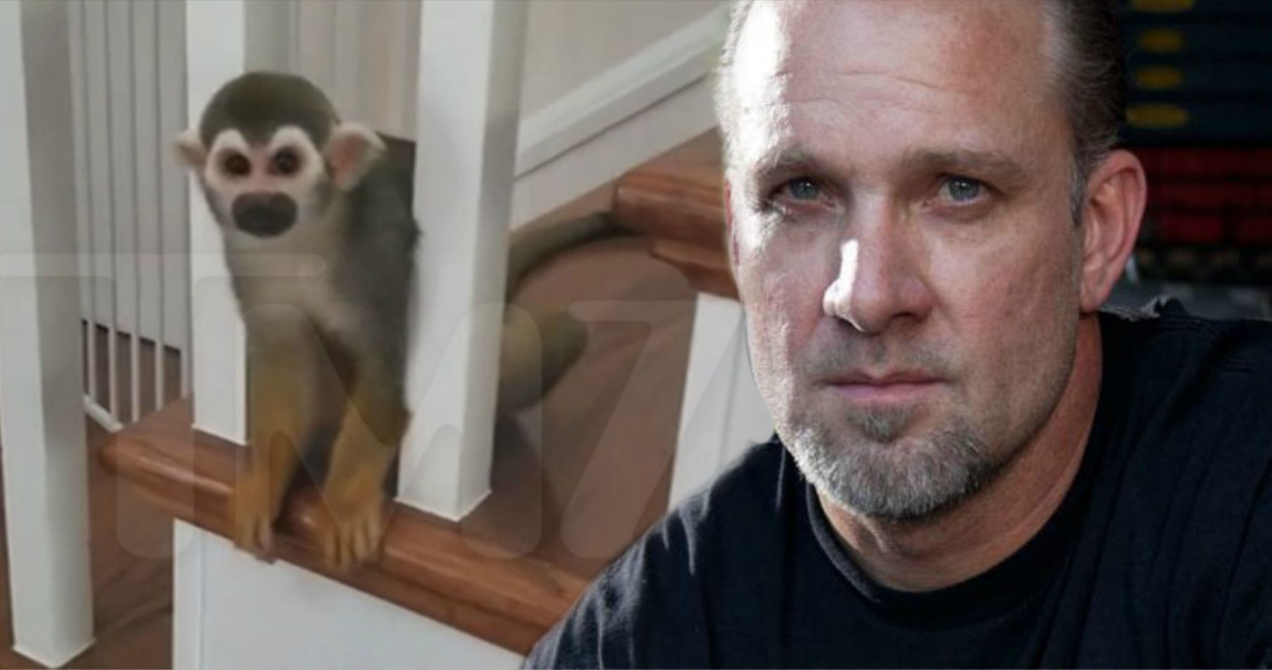 Jesse James' Pet Monkey Broke Into a Neighbor's Home Looking for Love
