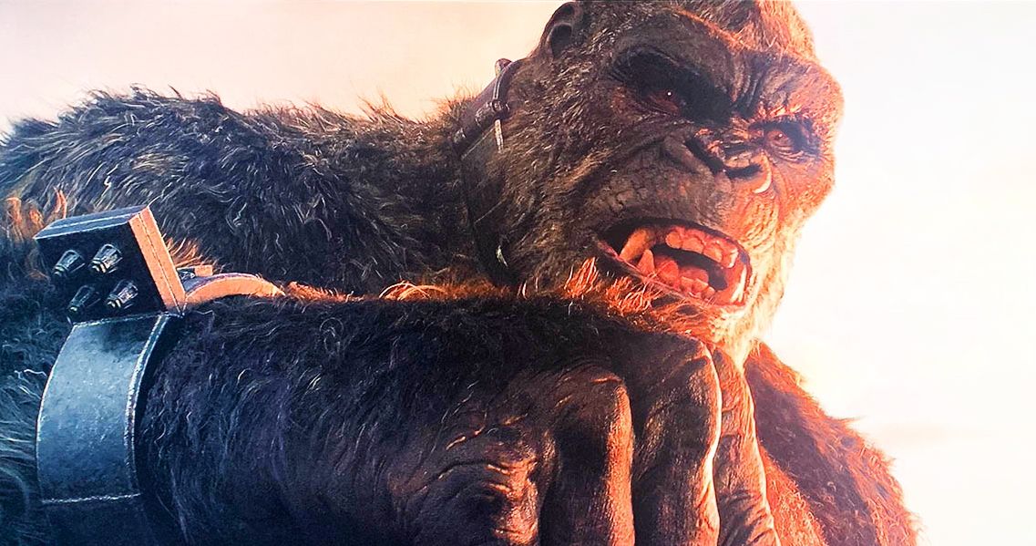 Son of Kong May Be Next Monsterverse Movie Following Godzilla Vs. Kong