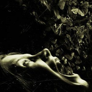 The Possession Motion Poster