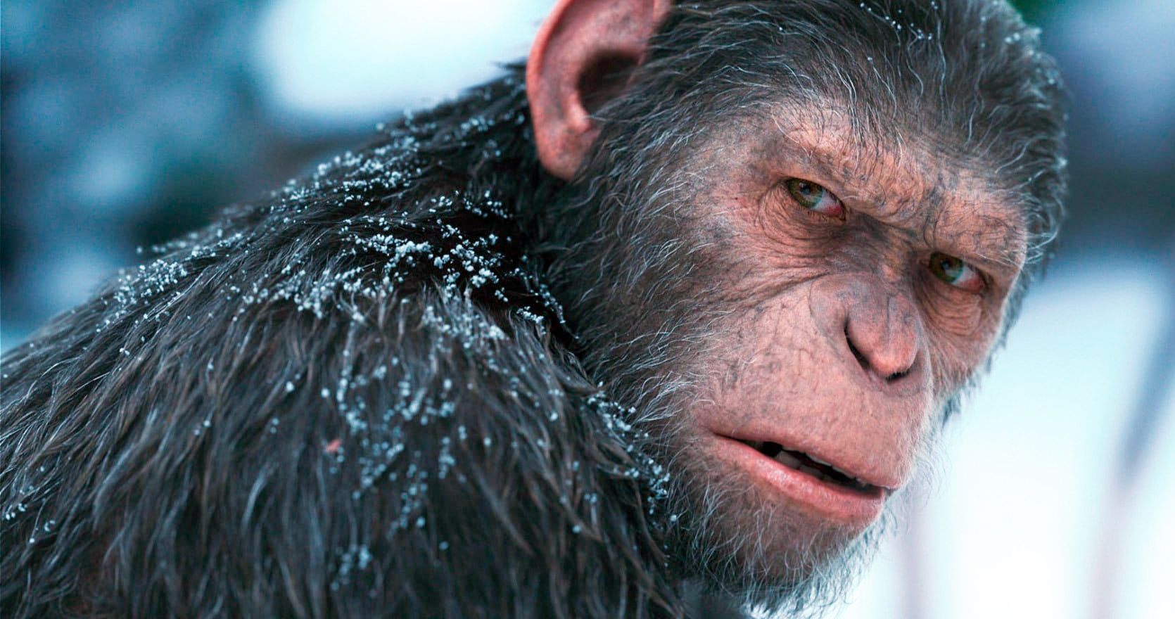 New Planet of the Apes Movie Happening at Disney with Maze Runner Director