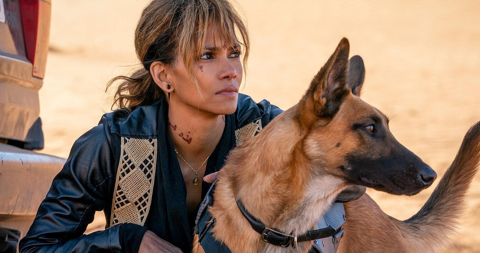 Halle Berry Did All But These Two Very Dangerous Stunts in John Wick 3
